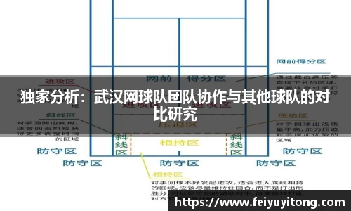 独家分析：武汉网球队团队协作与其他球队的对比研究