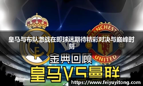 yy易游体育网页版